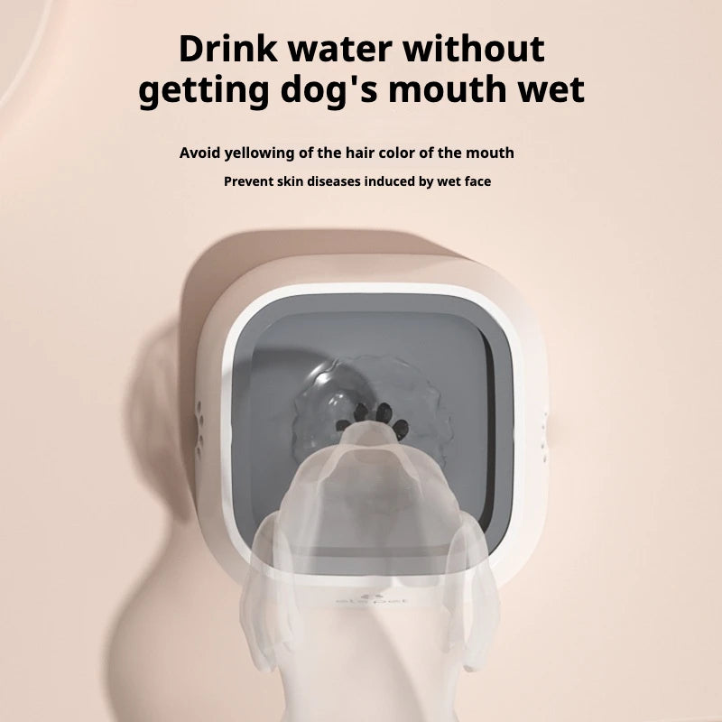 Miska dla Psa Antyrozlewowa - Pływający Dysk Zapobiegający Rozlewaniu Wody